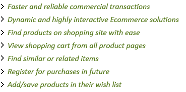 e-commerce development