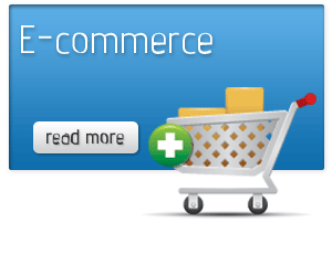 e-commerce application development